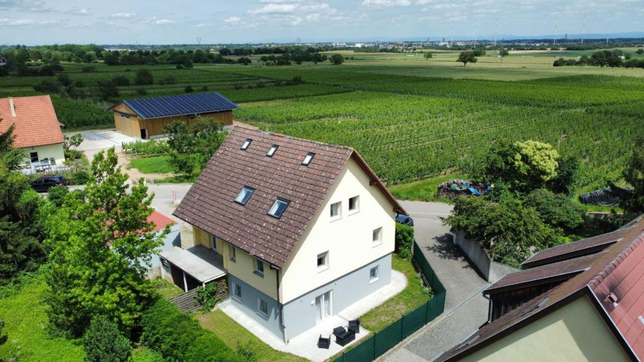 Bel Appartement En Centre Alsace Kintzheim Exteriör bild